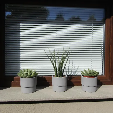 Apartma Melinc *